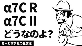 実際どうなの？いいのこれ？