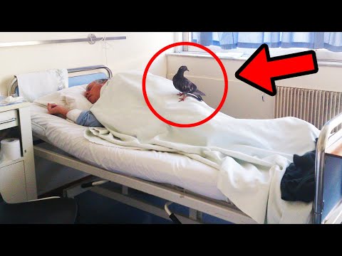 Video: Čo Musíte Vziať Do Nemocnice