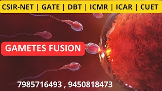 Gametes Fusion (युग्मक संलयन) कैसे होता है | CSIR-NET/JRF | GATE | DBT | IIT-JAM #genesis_institute