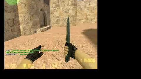 Counter Strike   Hide 
