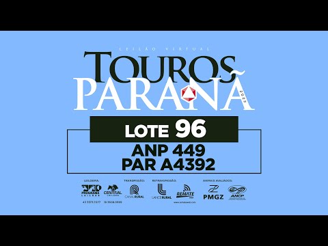 LOTE 96 ANP 449 PAR A4342