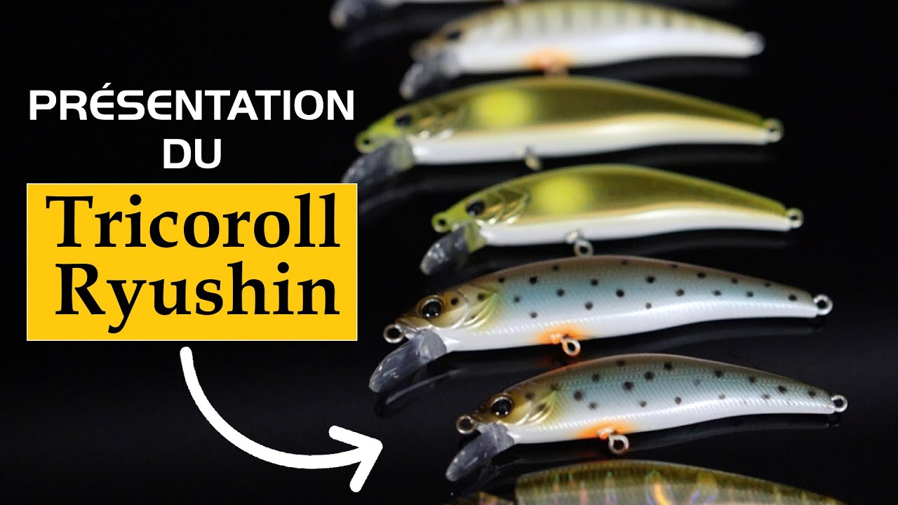 Leurre Jackall Timon Tricoroll Ryushin 63 HW - Argent Yamame - 7g - Plongeant