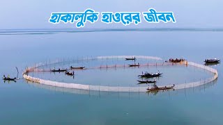 সিলেটের হাকালুকি হাওরের জীবন || Lifestyle at Hakaluki Haor in Sylhet