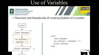 Data Items and Variables