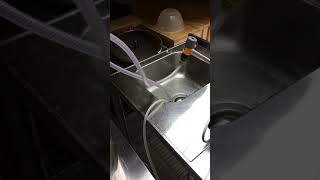 IMG 5658