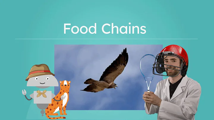 Food Chains - How Energy Moves Through Ecosystems
