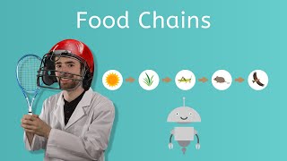 Food Chains - General Science for Kids!