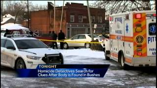 Body found in Homewood bushes