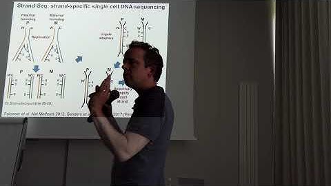 Jan Korbel - Single cell & big data approaches to understanding genome variation [...]