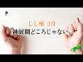 長い間悩んでいた獅子座さん。一気に何もかもが、動きます。速いです、とても。【獅子座　3月の運勢】🌷タロット占い