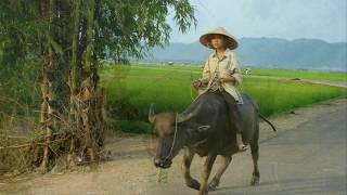 LK Organ Nhạc Đỏ  DJ Mới Nhất - Nhac Sống Thanh Ngân