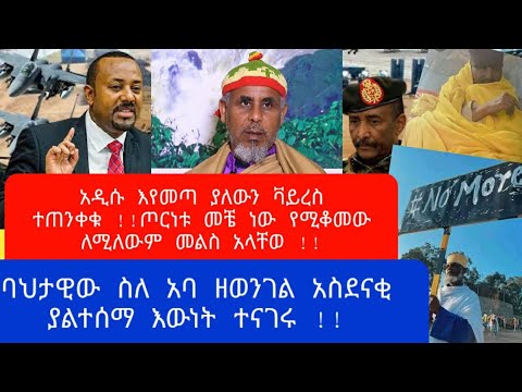 ቪዲዮ: ዘንዶዎች መብረር ይችሉ ነበር?