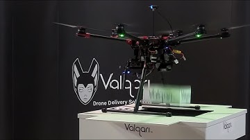 New Smart Drone Delivery Mailbox by Valqari