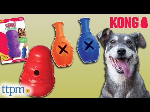 KONG Wobbler Treat Dispensing Dog Toy