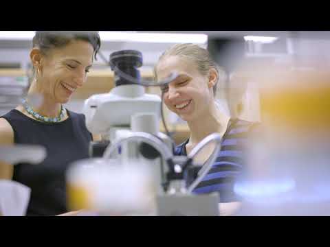 The Rockefeller Scientist Vanessa Ruta Ph D