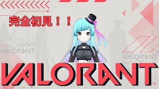 コードネームとっきー【新人バ美肉Vtuber】の配信のサムネイル画像