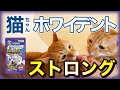 猫ちゃんホワイデント ストロング ツナ味 噛む力が強い子用の歯磨きオヤツを茶トラ猫の茶々とマロンに与えてみた【ドギーマン】