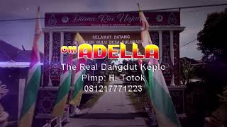 DITELAN ALAM _ANISA RAHMA_ ADELLA