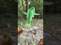 “Fish Milk Challenge Failed! 😱#camping​ #outdoors​ #bushcraft​ #survival​​ #facts​ #skills​ #shorts