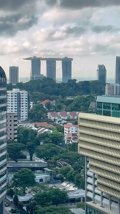Inside Hilton Singapore Orchard 🏨 | Room Tour #singaporetrip #shorts #viralvideo