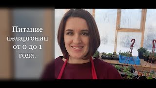 Питание пеларгонии от 0 до 1 года.