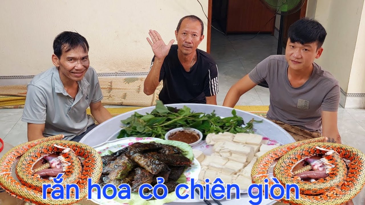 Rắn Hoa Cỏ.Cuốn Lá Dổi Rất Ngon | Nguyễn Ngọc Biển HN