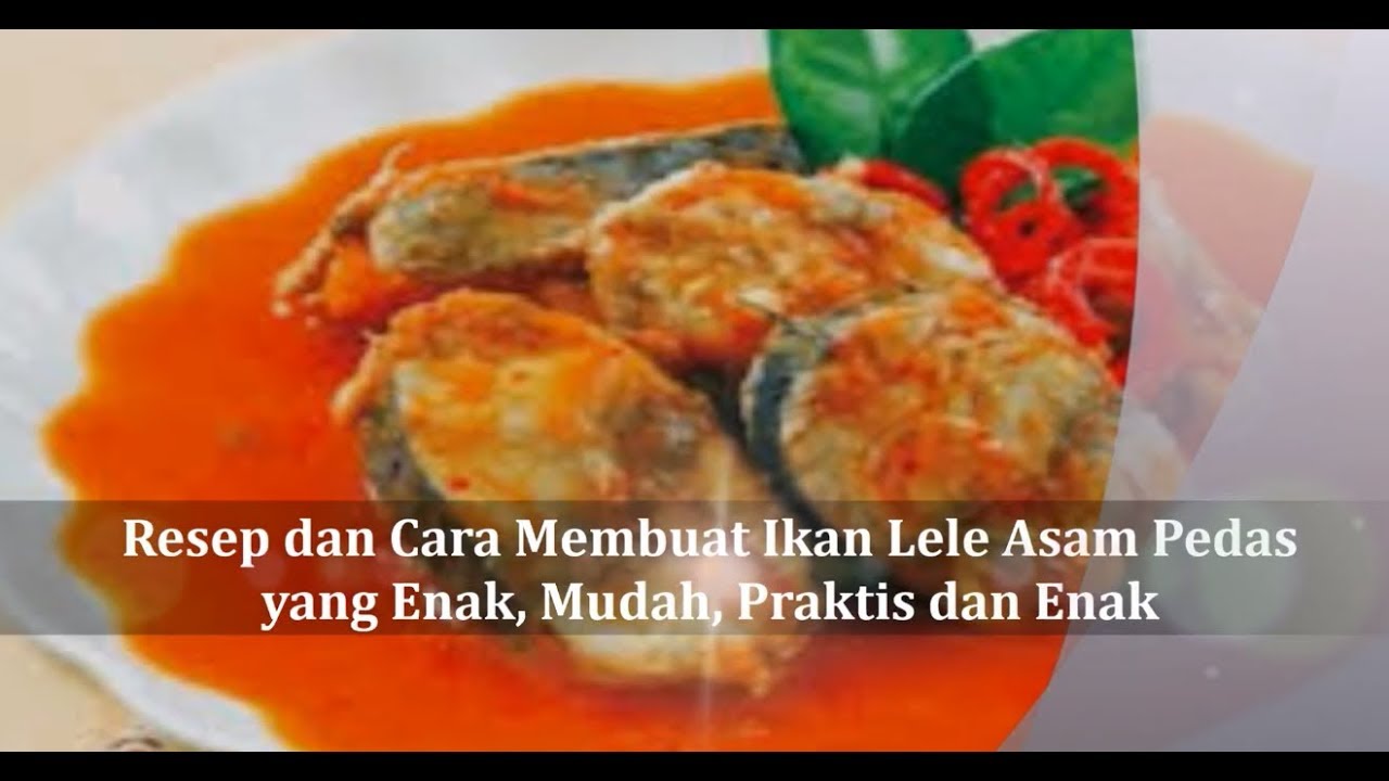 Resep Olahan Lele Pedas / 20 Resep Masakan Ikan Lele Enak Sederhana Dan Mudah Dibuat / Hidangan ...