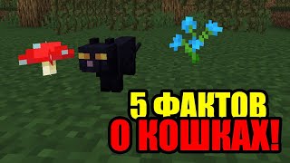 5 ФАКТОВ О КОШКАХ !  Майнкрафт !ТАКОГО ВЫ НЕ ОЖИДАЛИ