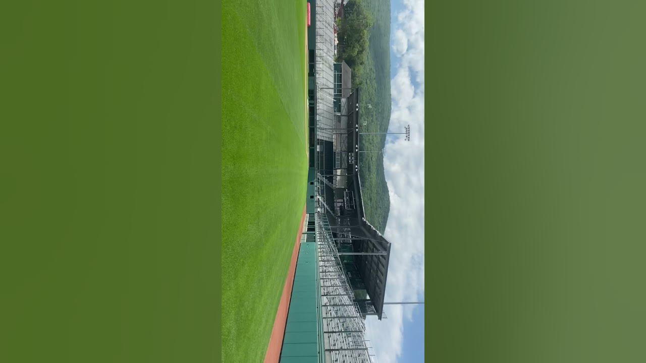 LLWS WALK AROUND !! YouTube