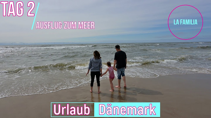 Tag 2..Eine Robbe in Freiheit gefunden am Meer🏖️ Mit Klamotten ins Wasser😱 Strandtag🌊🥰