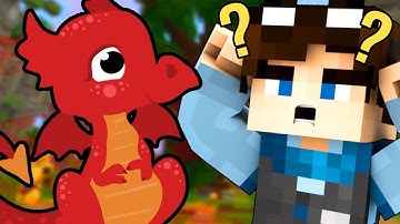 Do YOU Think MINECRAFT Needs More DRAGONS?  (Minecraft One Command Block)