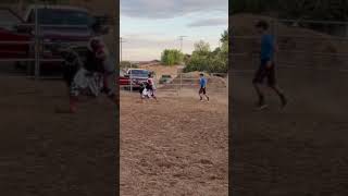 Sheep Riding Aka Mutton Busting