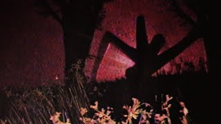 Da Backrooms - Crimson Forest Location & All Quests - Full Walkthrough -  Roblox 