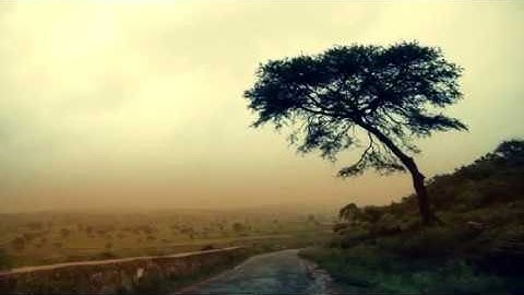 من أروع ما سمعت_سورة يونس الآية "96_109"