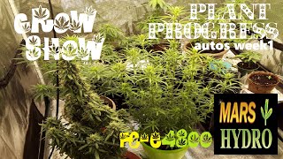 Look into My Garden FC-E4800 Mars Hydro Indoorg Grow Show w1 4 Autos