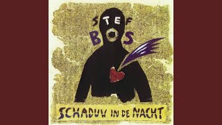 Watch Stef Bos Schaduw In De Nacht video