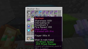 Preparing for a Review of the Minecraft Server Minewind