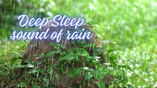 🍃4K soothing sound of rain + piano healing music / stress relief, cardiovascular healing