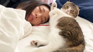 🐈ママの体調が悪くて寝込むと近くから離れない親子猫