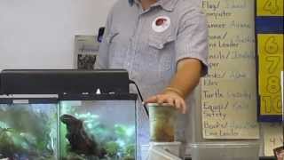 Frog Presentation Pt. 1