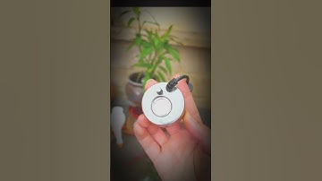 Review máy tạo khói cho hồ cá, tiểu cảnh sân vườn #cacanh77 #aquarium #nuoica #aquascape