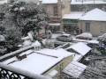 Cannes sous la neige a nouveau, à peine croyable..11/ Février 2010