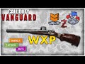 Fastest Vanguard Weapon XP: All Modes Tested