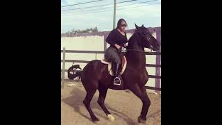 horse training for batter riding by a beautiful lady in arena #horseriding #horsetraining #rearing