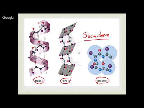 Vídeo: As alfa hélices são estruturas secundárias?