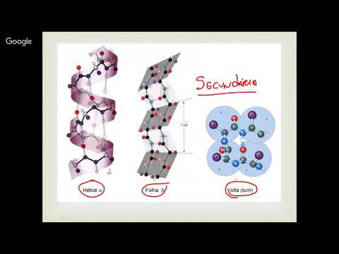 Vídeo: Que nível de estrutura de proteína envolve alfa hélices e folhas beta pregueadas?