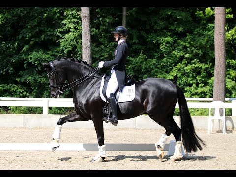 LIBERTAD FRH & Allegra Schmitz-Morkramer // Preis der Besten 2024 @HorsesInMotion