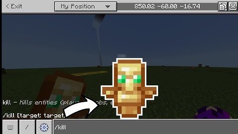 Will Totem Of Undying Save Me From /kill Command?? | MINECRAFT