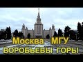 ВЕСЕННЯЯ МОСКВА. ВОРОБЬЕВЫ ГОРЫ. МГУ. НЕСКУЧНЫЙ САД. ПАРК ГОРЬКОГО. СЕРО И УНЫЛО