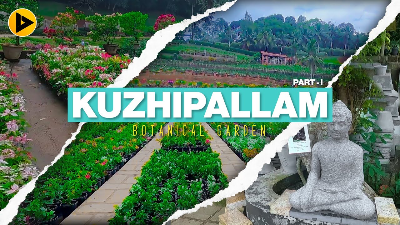 40 ഏക്കറിന്റെ വിസ്മയ ഭൂമിയും 4 ലക്ഷത്തിന്റെ ബോൻസൈയും 🔥| Kuzhipallam Botanical Garden 🤩#mustwatch